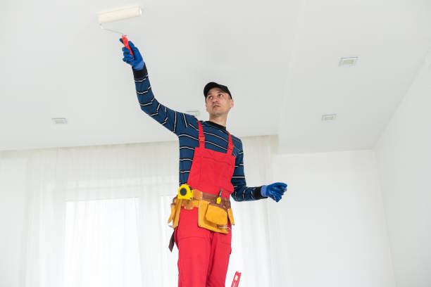 Best Drywall Crack Repair  in Roselle Park, NJ