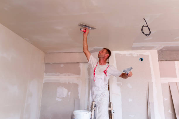 Best Faux Finishing and Decorative Painting  in Roselle Park, NJ